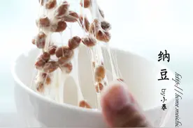 家庭自制纳豆的做法超详细多图全攻略--纳豆图片