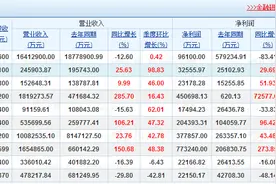 年报解读：年报是个什么东西？图片