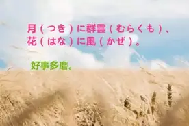 你知道这些日文美句吗？图片