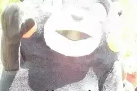 科普|为什么你在下雨天出门总是不带伞？图片