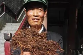 兴义中草药市场现特大“一朵云”图片