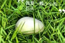 我是石头  她是水图片