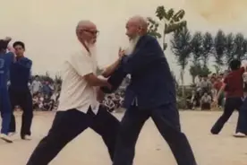 太极实战被打成狗！原来传统太极这么不堪一击图片