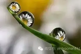 史上最强大的化解方法图片