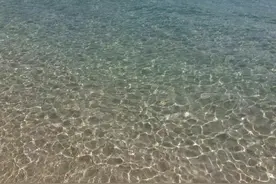 女人如酒，回味无穷图片