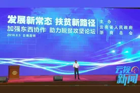 马云在云南：扶贫要有公益的心态 商业的手法图片