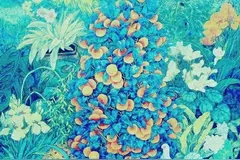 五彩笺（一）｜“鸽子”系列组诗（1—2）图片