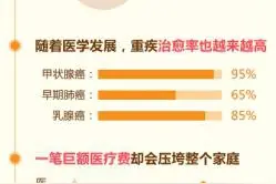 国寿福 福惠岛城 ——中国人寿首款顶额预定利率重疾险图片