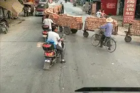 爆笑GIF图第12422：这连续后空翻确定是狗？图片