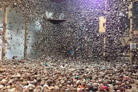 我们看到美丽的寄居蟹是这样形成的，为大家揭开残酷真相图片