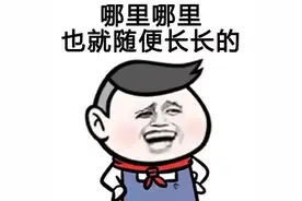 表情包当别人夸你长得好看时该如何低调回答图片