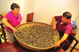 句容民俗——晒大酱图片