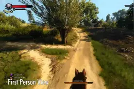 《狩魔猎人3》第一人称VR化改制成功，效果感人图片