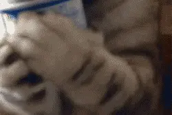 一看就是穷人家的喵图片