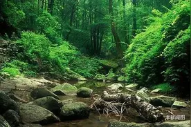 承德偏僻山村藏天然奇景，4口龙潭水从古流到今！图片