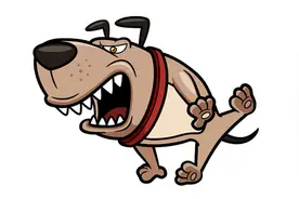 生肖狗人的不同星座的事业发展图片