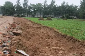 高铁修到农村，一亩地该赔多少钱？图片