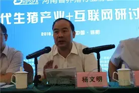 环保大棒下全国生猪猛降4.4%，河南牧原秦英林呼吁让养猪体面图片