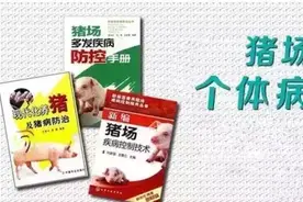 兽医必备——猪场常见个体病治疗方案图片