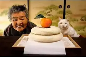 老奶奶收养小猫，可爱极了，两人的故事令人感动图片