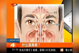 林志炫唱歌好听，难道是因为做了这个“有关鼻子”的手术？