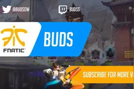 《守望先锋》职业战队 Fnatic 选手Buds第一人称视角图片