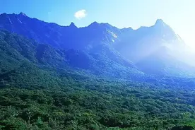 这是岛国人士钟爱的野奢派度假天堂，宫崎骏都倾心-九州屋久岛之图片