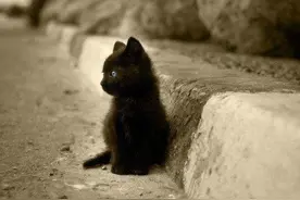 招鬼分分钟！你家会存在不祥之物吗？图片