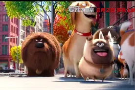 《爱宠大机密》何炅的配音，太让人出戏了！图片