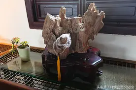 石不能言最可人图片