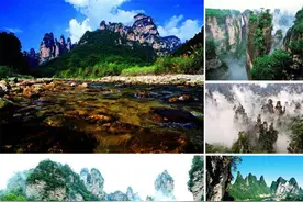 到张家界后如何去主景区森林公园图片