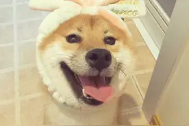 妈咪我可爱吗！哎哎哎你在干嘛！不能拍啊我是蓝孩子啊喂妈咪！图片