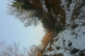 野外寻踪 职业猎人遇险 原来是。图片