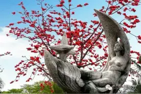 摄影师眼中的大美三亚，惊艳了世界和时光！图片