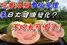 每天吃番石榴，会让身体出现哪八大变化呢？图片