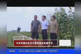 这家政策性担保公司，运行5个月担保业务就超亿元，原因是……视频封面