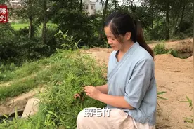 农村一种最细的竹子，常被农民忽视，却是钓鲫鱼的“神器”视频封面