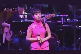 陕北美女歌手王二妮 作品大全图片