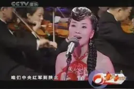 唱的了《夜来香》也能唱《山丹丹花开红艳艳》张燕图片