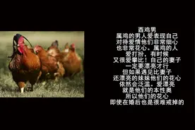 12生肖婚后最花心的4个生肖男，婚姻也无法束缚他们视频封面