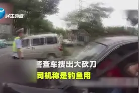 交警查车搜出大砍刀 司机称是钓鱼用视频封面
