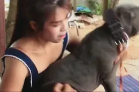 有趣的女孩与黑色狗狗开心玩耍，女孩好高兴视频封面