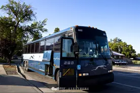 坐着灰狗去拉斯维加斯图片