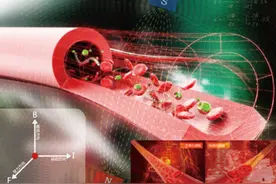 和也磁疗床垫用科学数据替产品说话图片