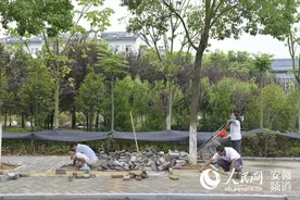 合肥财经职业学院多项维修改造工程有序推进图片
