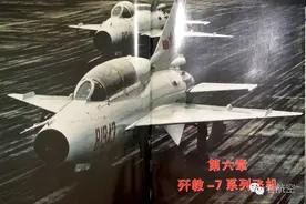 航史 | 山中飞出育鹰师图片