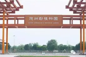 德州动物园8月陆续引进各类动物图片