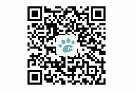 一张图看懂仓鼠宝宝的吃货生涯图片