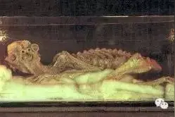 是真是假？日本传说中的河童&天狗&人鱼的木乃伊图片