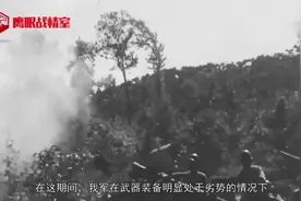 抗战期间各省出兵人数，四川出兵350万，看看你的家乡是多少？视频封面